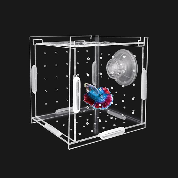 Hamiledyi Acrylic Breeding Isolation Box - Transparent Aquarium Hatchery for Guppy/Shrimp/Small Fish, Safe Nursery Tank with Air Tube & Suction Cups (3.9" × 3.9" × 3.9")