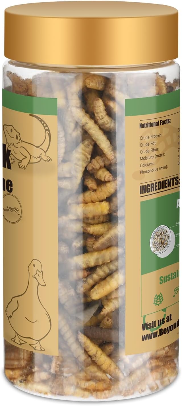 BeyondFeed™ Dried Black Soldier Fly Larvae - Nutrient-Rich, Sustainable Feed for Chickens, Ducks, Birds, Reptiles, Fish, Hamster, Turtles and More (1 Bottle (35g/ 1.23oz))