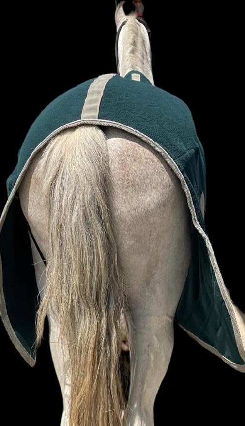 Majestic Ally Anti Pill Fleece Horse Blanket/Sheet with Silver Braided Rope (Hunter Green, 80)