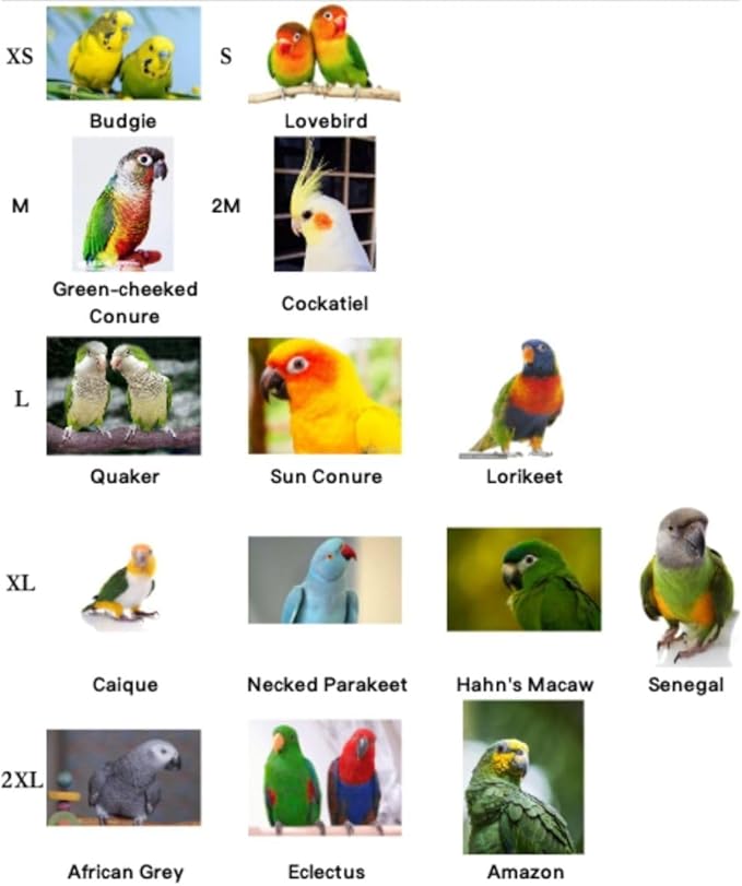 Bird Flight Harness Vest, Parrot Flight Suit with Leash, Bird Flying Clothes with Rope and Handle for Outdoor Activities (L)