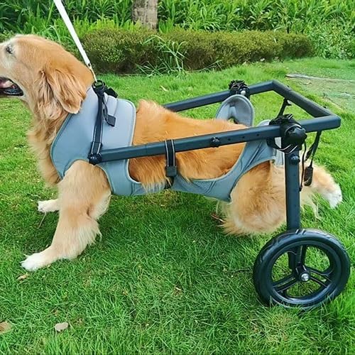 Pet Trolley Adjustable Hind Leg Disabled Dog Mobility Aid Light Rehabilitation Legs Wheelchair Walk Tools(Large)