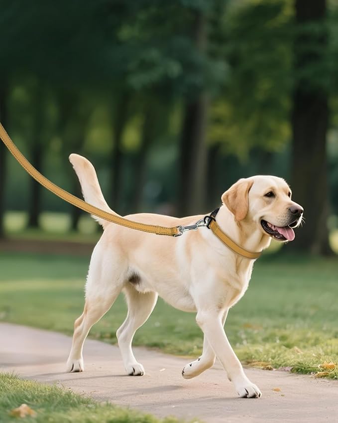 Joytale Reflective Dog Collar, Adjustable Nylon Pet Collar with Quick-Release Buckle for Medium Dogs, Khaki, M