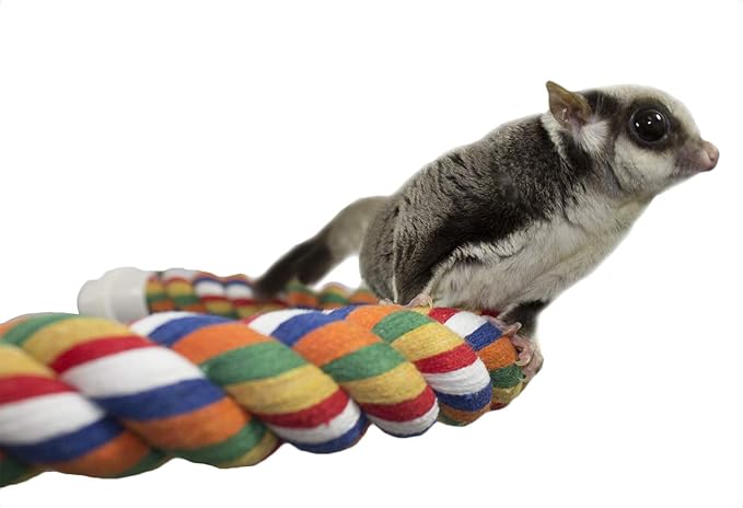34 Inch Flex Rope (Large) - Bendable Fun Climbing Perch Cage Accessory Toy - Sugar Gliders, Squirrels, Degus, Marmosets, Monkeys, Parrots, Birds, Rats & Other Small Animals (Pack of 2)