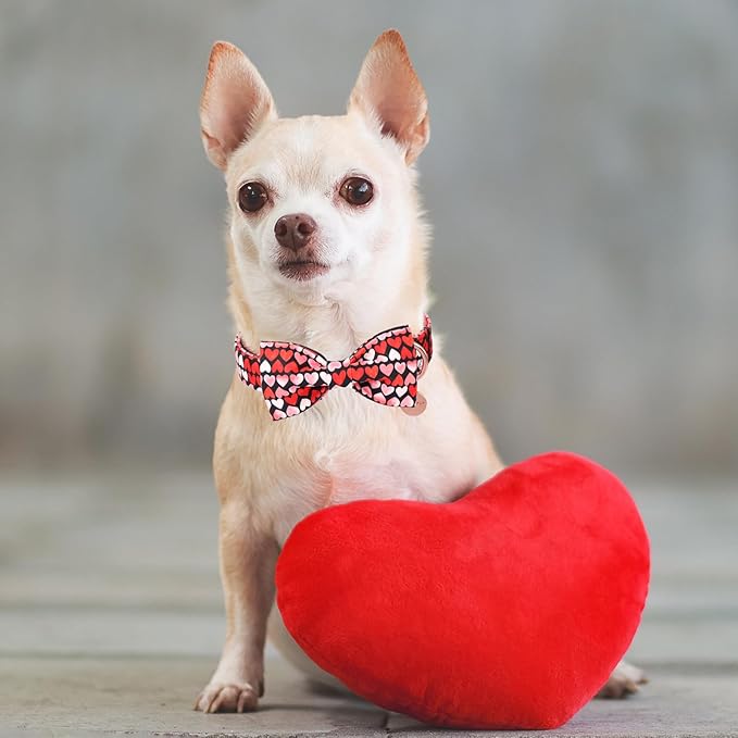 Valentine’s Day Dog Collar with Bow Tie, Red Heart Bowtie Collar with Metal Buckle, Valentine’s Day Gift Adjustable Pet Collar for Puppy Girl Boy Dog or Cat, S, Neck 10-16in