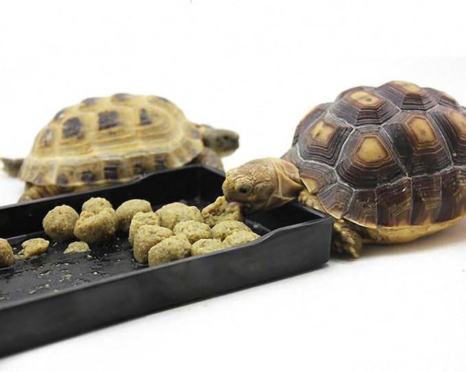 OMEM Reptile Bowl Large Food and Water Dish Enough Space Also Fit for Bath Simulated Wood Grain Surface (M, Black)