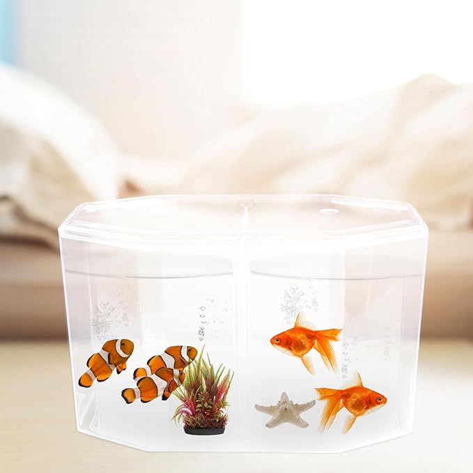 POPETPOP Mini Fish Tank with Divider : Acrylic Fish Breeding Tank Transparent Breeding Box Small Aquarium Box for Small Shrimp
