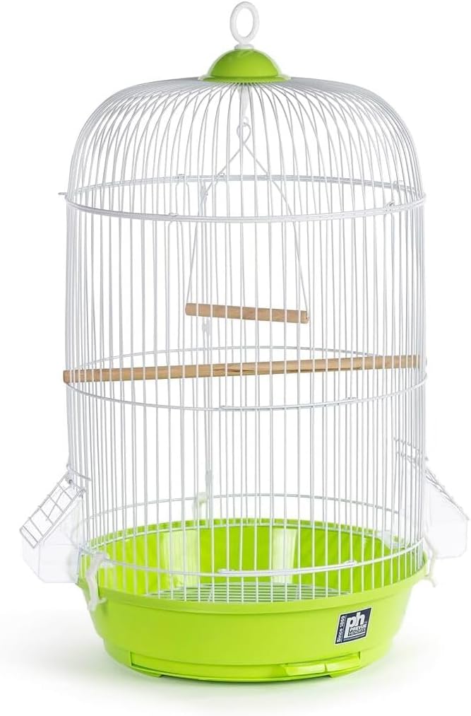 Elegant Escape Small Round Bird Cage with Graceful Design, Durable Metal Construction, Compact Size, and Comfortable Space Green