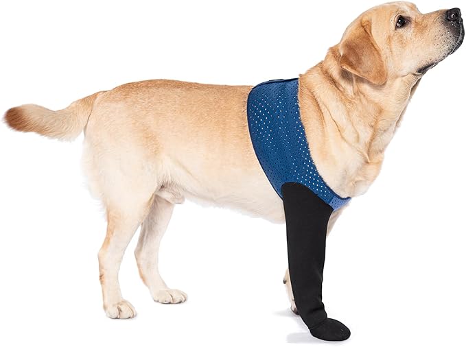 COODEO Dog Socks to Prevent Licking Paws, Healing Boots & Paw Protectors with Non-Slip Bottoms for Wound Protection, Waterproof Sleeve Shoes for Licking（Blue，XL_Left