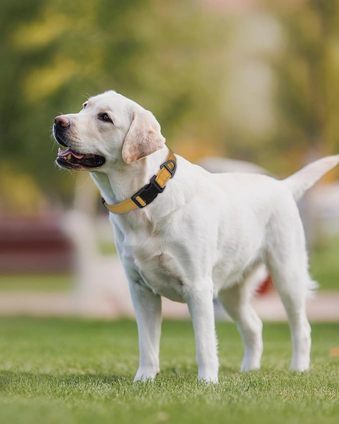 Joytale Large Dog Collar, Reflective and Adjustable Nylon Pet Collar with Quick-Release Buckle for Extra Large Dogs, Khaki, XL