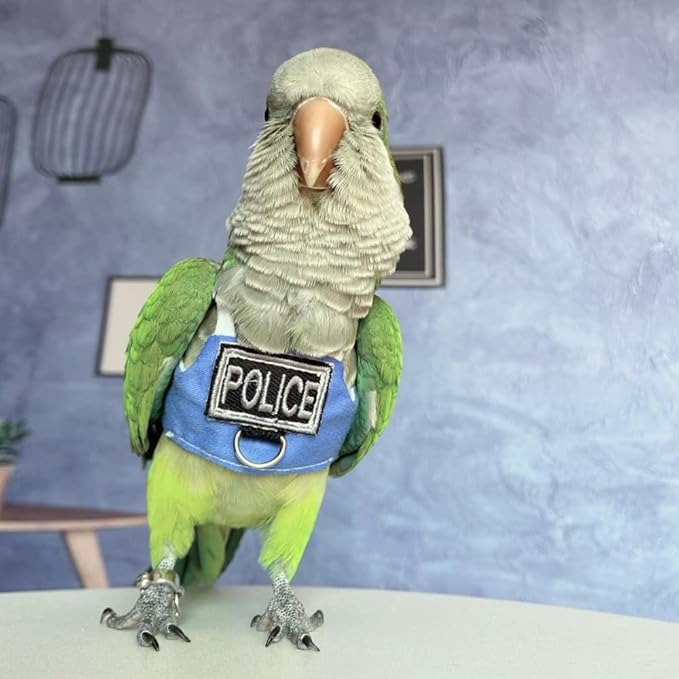 Bird Flight Harness Vest, Parrot Flight Suit with Leash, Bird Flying Clothes with Rope and Handle for Outdoor Activities (with Leash,Senegal)