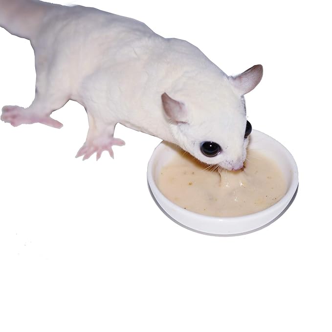Exotic Nutrition Sugar Glider HPW Diet Jar - High Protein Healthy Natural No Mess Food for Sugar Gliders - High Protein Wombaroo Diet (Combo)