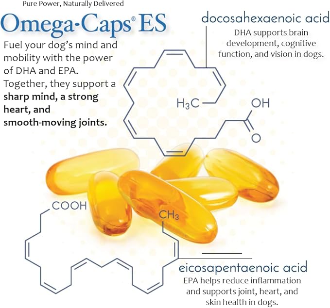 Extra Strength for Large and Giant Dogs Value Size Omega-3 and Omega-6 Fatty Acid Antioxidant Supplement Vet Formulated Made in USA Skin Coat Joint Heart and Immune Health 250 Softgel Capsules