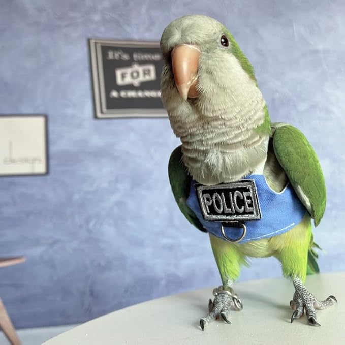 Bird Flight Harness Vest, Parrot Flight Suit with Leash, Bird Flying Clothes with Rope and Handle for Outdoor Activities (Without Leash,Cockatiel)