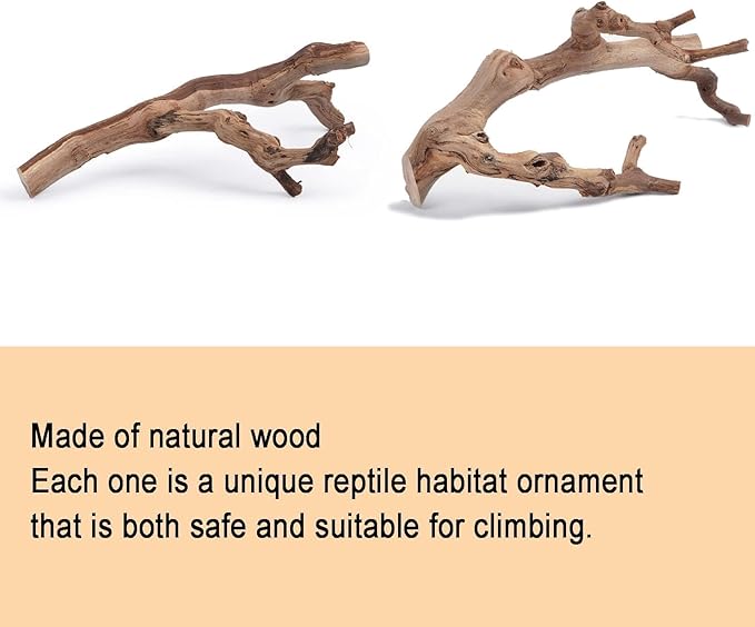 BNOSDM 2PCS Reptile Wood Branches Decor,Lizard Habitat Natural Wood Decoration,Snake Climbing Branch Accessories,Terrarium Tree Trunk Ornament for Bearded Dragon Gecko Frog Chameleon Spider