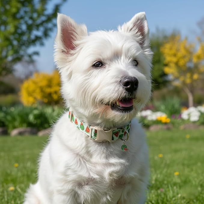 Summer Dog Collar for Large Dogs, Cute Dog Collar with Watermelon Pattern and Pendant, Green Pet Collar with Soft Cotton Fabric and Robust Buckle