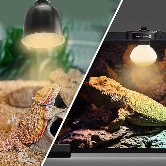 LUCKY HERP New Upgrade 3 Pack 100W Reptile Heat Lamp Bulb (3nd Gen, Safer), Amphibian UVA Heat Light Bulb, Reptile Basking Daylight Spot Lamp Bulb for Bearded Dragon, Lizard, Tortoise Heating Use