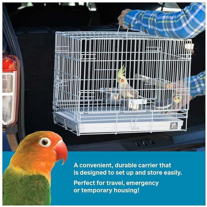 Maykoosh Bird Cage - Spacious & Stylish Design for Parakeets & Canaries