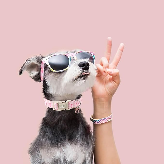 Girl Dog Collar for Puppy Small Dogs - Cute Pink Plaid & Bow Print Spring/Summer Puppy Collar, Soft Adjustable Holiday Female Dog Collars with Quick Release Buckle XS