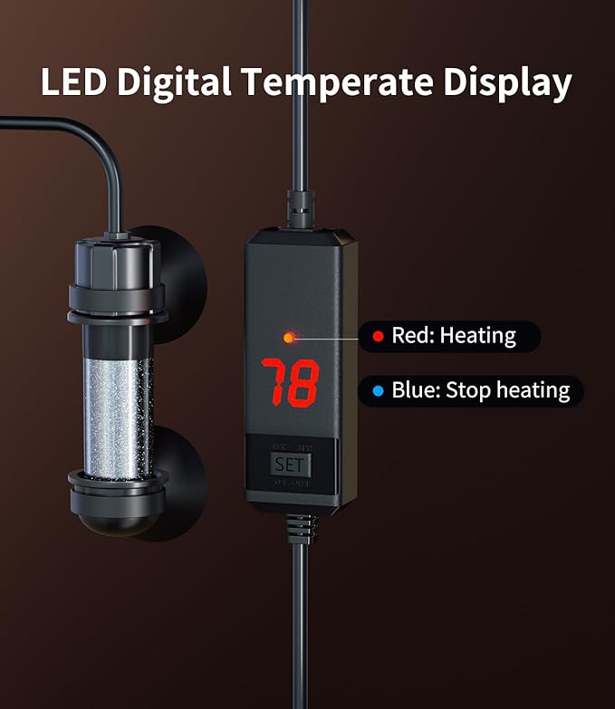 5 Gallon Fish Tank Aquarium Kit with Filter, Heater, LED Light with Timer, Siphon Vacuum Cleaner, Lid, Self-Cleaning Glass Rimless Betta Tank