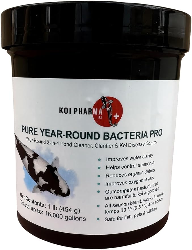 Koi Pharma® Pure Year-Round Bacteria Pro – All-Season Beneficial Pond Bacteria for Clear Water, Sludge Control & Healthy Koi and Goldfish (1 Pound)