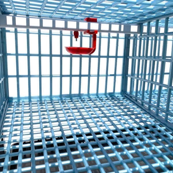 Cimuka Jumbo Quail Breeding Cage Indoor – 2 Layer Stackable Quail Pens & Coops | 38.6" x 24" x 35.8" Easy Clean, Rust-Free, Plastic Breeder System with Removable Divider & Egg Collection Trays