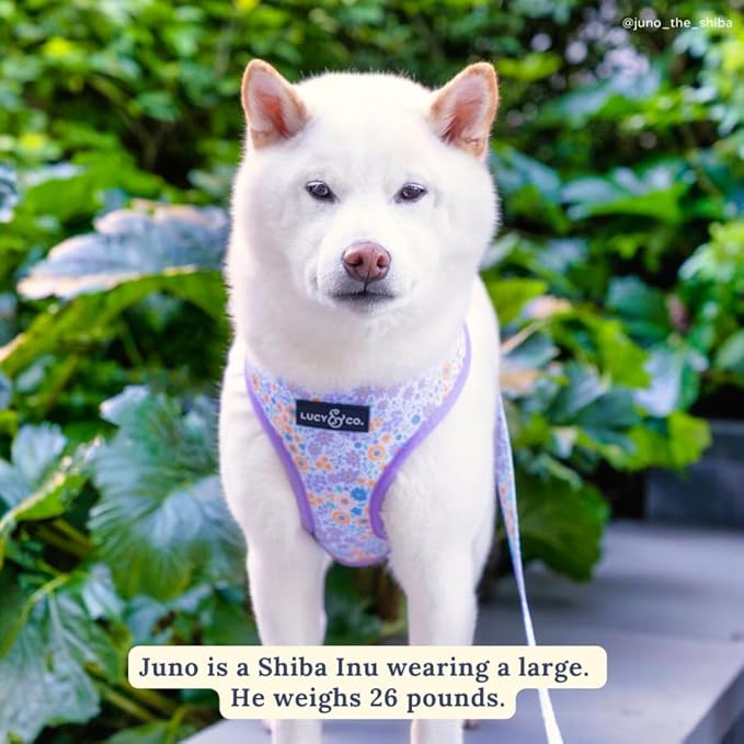 Lucy & Co. Cute Reversible Dog Harness Walking Halter - Best Designer Pet Harnesses for XS - XL Dogs - Padded Adjustable Vest for Easy Walking (X-Large, Among The Wildflowers - Purple Floral)