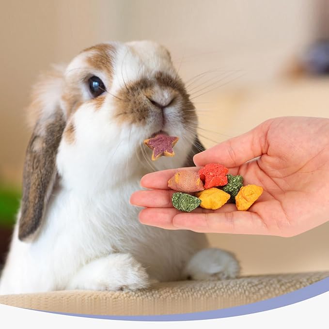 Abizoo Rabbit & Guinea Pig Treats, Crunchy Mini Star Chew Toys with Timothy Hay Carrots Pumpkin for Digestion and Enrichment, High-Fiber Healthy Snacks for Rabbits Chinchillas Guinea Pig Hamster