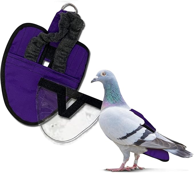 Hen Holster Wrap-Around Bird Diaper & Harness for Larger Pigeons, Small Breed - with Removable Liner, Adjustable Fit for Outdoor Adventures & Indoor Use, Easy to wear - Purple, XS