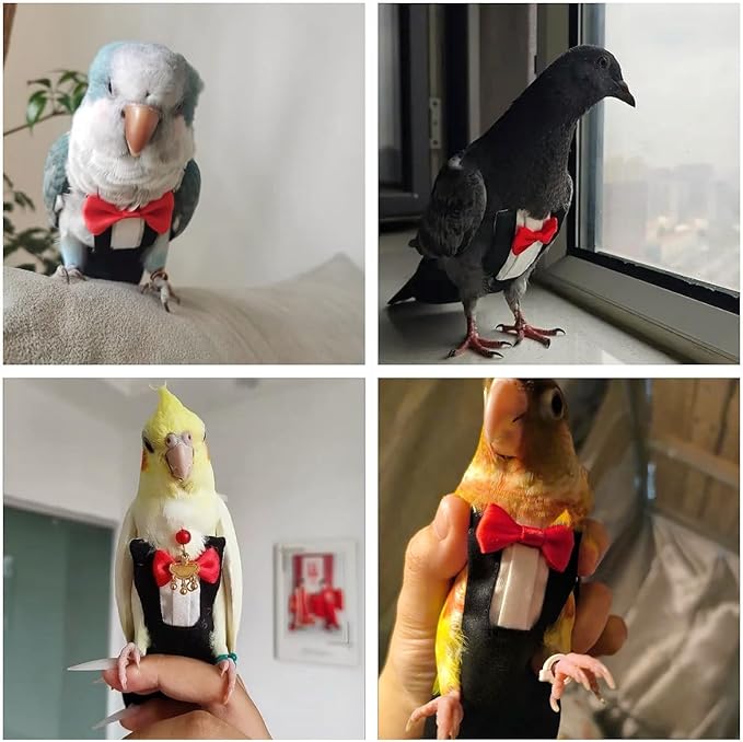 Bird Diapers Bird Harness Tuxedo Flight Suits with 80in Flying Leash Parrot Nappy with Waterproof Inner Layer Urine Wet Suite for Cockatiel Conure Parakeet Macaw Budgie-Black,L