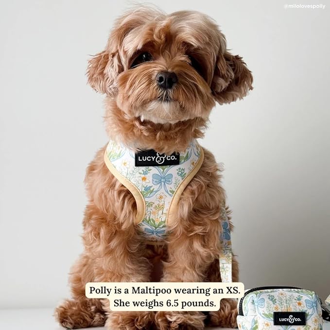 Lucy & Co. Sunshine and Daffodils Reversible Dog Harness, Adjustable Comfort Fit with Dual Leash Attachments, Small