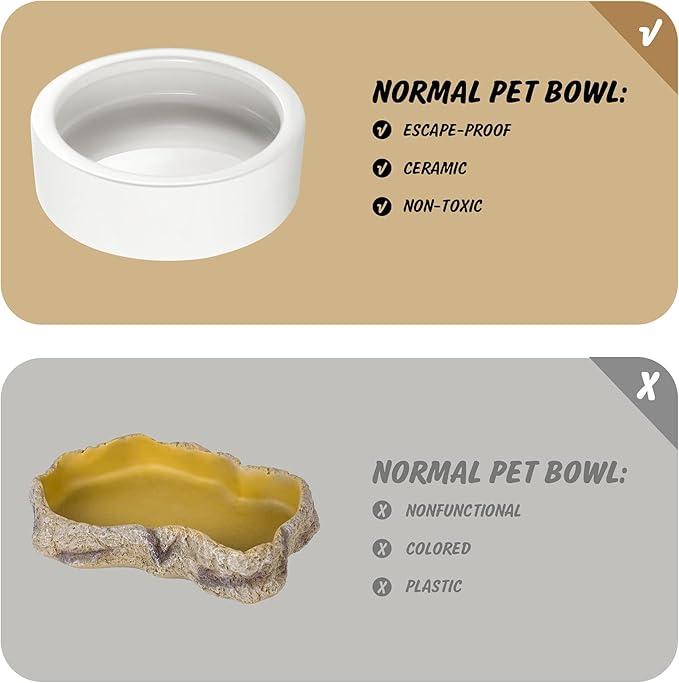 Ceramic Reptile Bowl - Mealworms & Cricket Dish for Gecko, Bearded Dragon & Chameleon - XL(5in) Anti-Escape Feeder