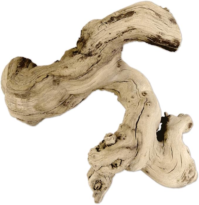 Koyal Natural Grapewood Vine Branch, 6-Inch