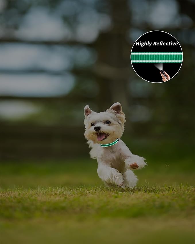 TagME Reflective Nylon Dog Collars, Adjustable Classic Pet Collar with Quick Release Buckle for Extra Small Dogs, Turquoise, 5/8" Width
