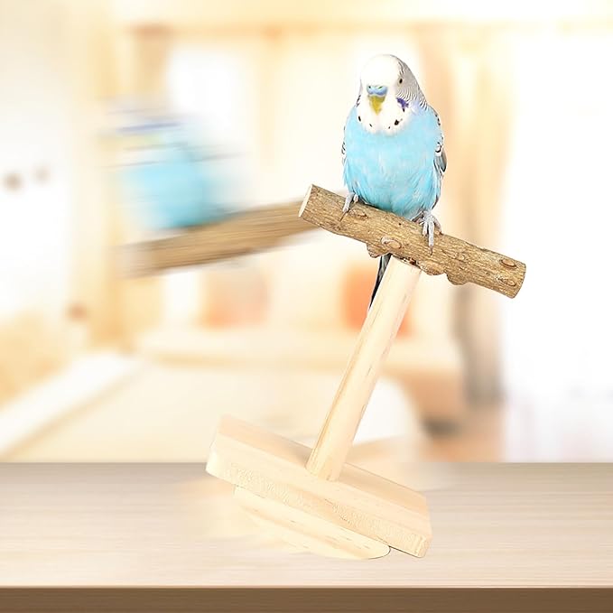 Bird Stand Perch Toy,Interactive Rocking Parakeet Toy and Perch, Wooden Exercise Wheel Cockatiel Toy, Intelligence Puzzle Enrichment Toys,Bird Playground Play Stands for Conure Budgie(B)