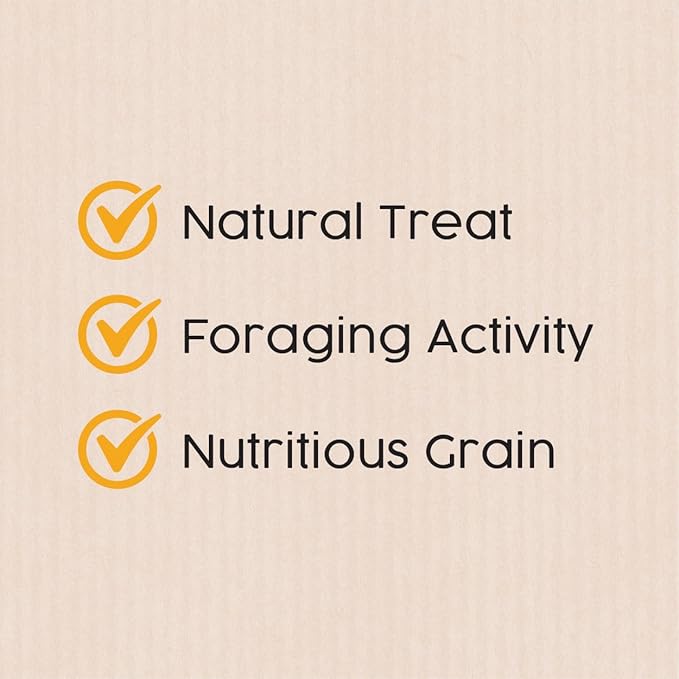 Sun Seed Company Bss10911 Small Bird Millet Spray Treats, 5-Pound