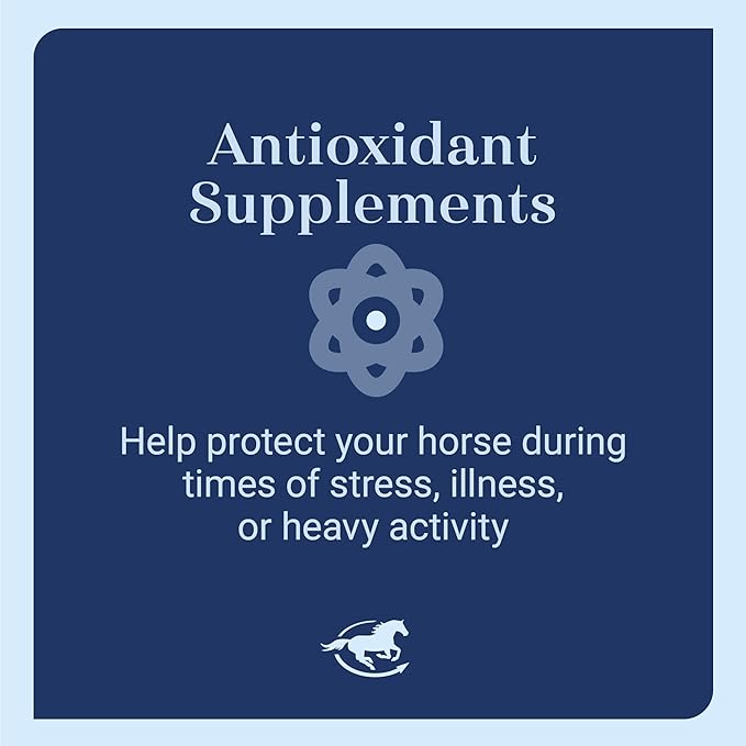E5000 Powder | Vitamin E for Horses | Antioxidant Support with Horse Vitamin E Supplement | Concentrated for Optimal Muscle & Wellness Support | 2 lb
