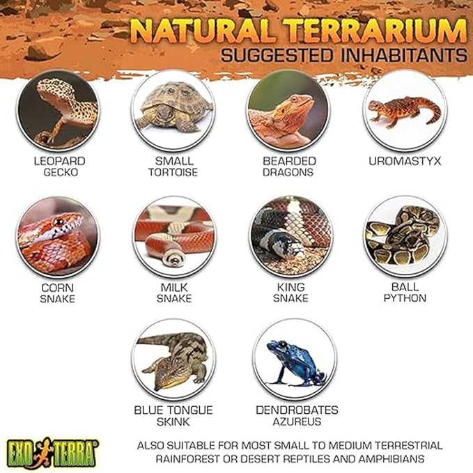 Exo Terra Glass Terrarium Kit, for Reptiles and Amphibians, Nano, 8 x 8 x 8 inches, PT2599A1