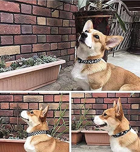 Roses&Poetry Dog Collar with Colourful Star Patterns, Adjustable Durable Puppy Collars for Small Medium Large Dogs (Star-XS)