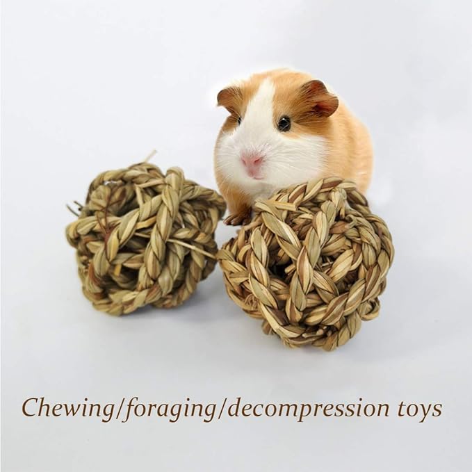 Hamiledyi 10PCS Rabbit Grass Balls 2.8in Large Guinea Pig Balls Small Animal Activity Enrichment Toy for Bunny Chinchilla Hamster Gerbil Grinding Playing