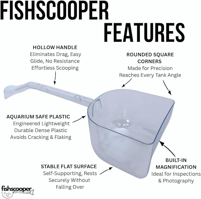 Fish Scooper, Acclimation Container, Fish Trap, Floating Fish Net, Axolotl Tank Accessories, Aquarium Cleaning Tools, Photography, Tool, Aquarium Accessories, Breeder Box