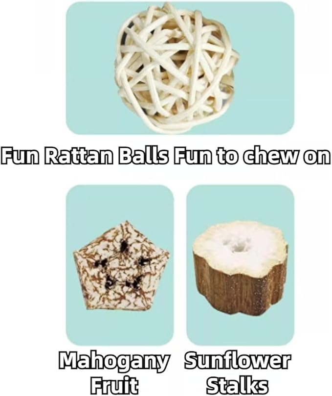 Bird Toys, Chewing for Parrot, Natural Nut Hanging for Parakeet,Lovebirds,Finch,Cockatiel, Conure, Quaker (B)