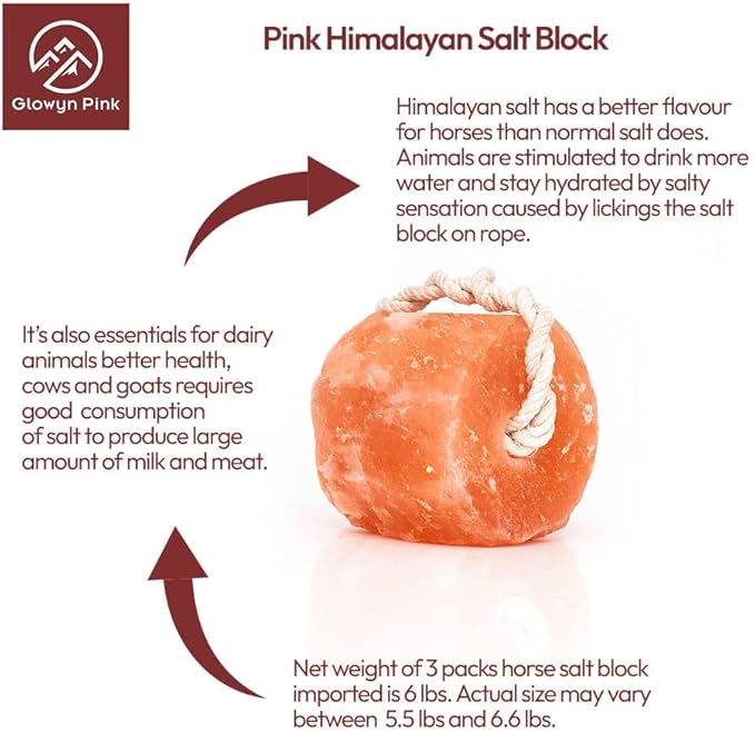 Glowyn Himalayan Salt Lick-Natural Minerals Block on Rope - 4.0 lbs. (6 Packs) - Great for Horses, Cattle, and Live Stock– Long Lasting – Pink Salt Lick