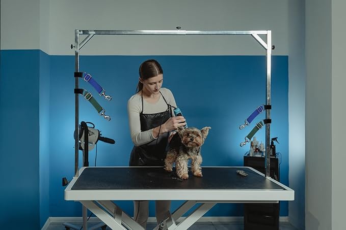 Pet Dog Grooming Loops Adjustable Nylon Restraint Loop Table Arm Accessories Extension Straps Extender Strap for Dogs Grooming Table Bathtub Trimming (Sky Blue & Black)