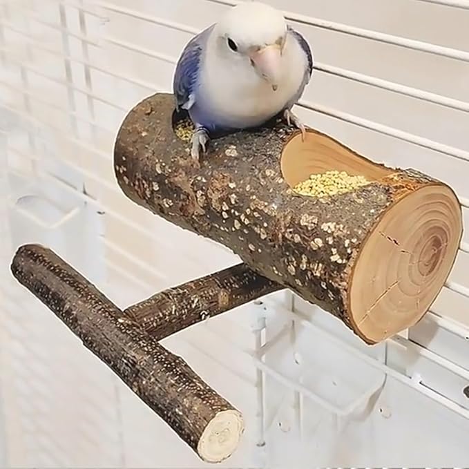 Small Bird Feeding Dish Cups, Removable Pet Food Bowl for Cage, Parrot Feeding Bowls for Finches Lovebirds Budgie Cockatiel Parakeet