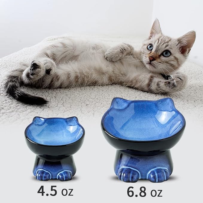 Nihow Slanted Elevated Cat Bowls: 5 Inch Ceramic Raised Cat Food Bowl for Protecting Pet's Spine - Microwave & Dishwasher Safe -Elegant Blue & Black (4.5 OZ /1 PC)