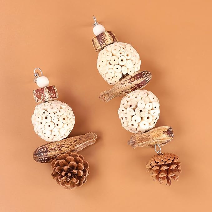 Bird Chew Toy for Pet Bird Parrot Sola Ball Natural Nuts Pinecone Chewing Toy for Small Parakeet Cockatiel Conures Finch Budgie (S)