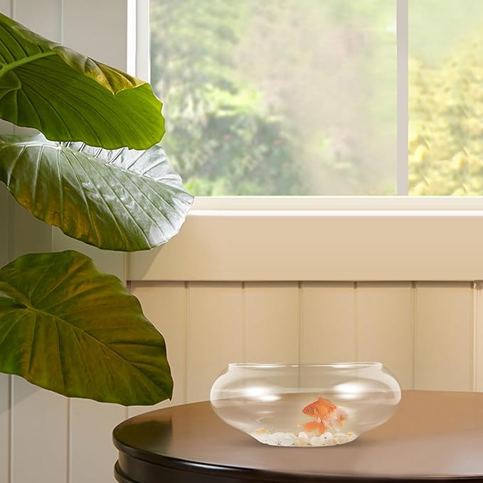Happyyami Glass Fish Bowl Flower Glass Vase Bowl Clear Wide Mouth Round Vase Terrarium Air Plant Hydroponic Succulent Planter Floral Container Vase for Home Office Wedding S