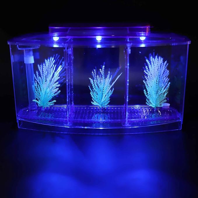Fish , Desktop Transparent Breeding Fish , Mini Acrylic for Small Fishes with LED Light with Water Change Valve for Betta()