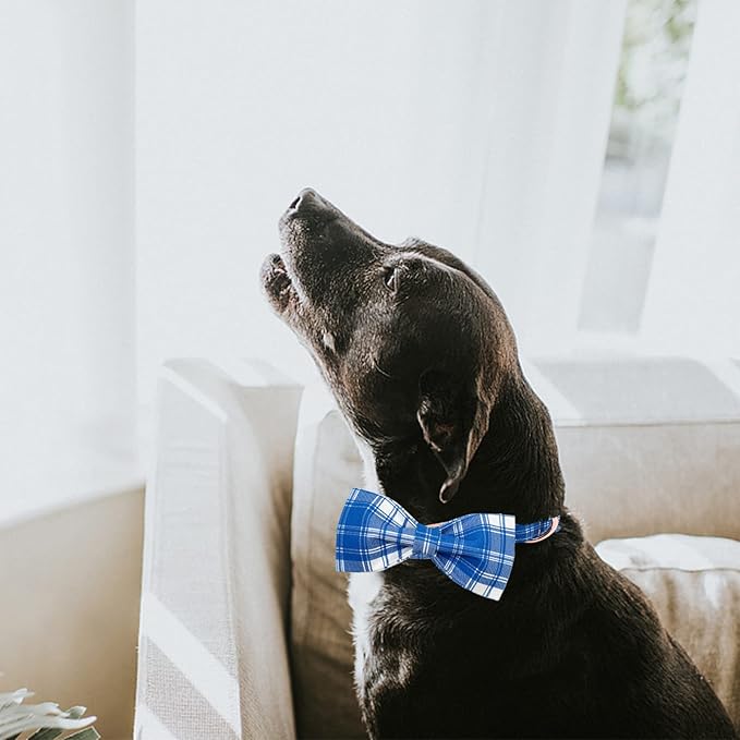 Lionheart glory Dog Collar, Boy Dog Collar Bowtie Blue Plaid Adjustable Dog Bowtie Collar Bows Dog Collar for X-Large Dogs