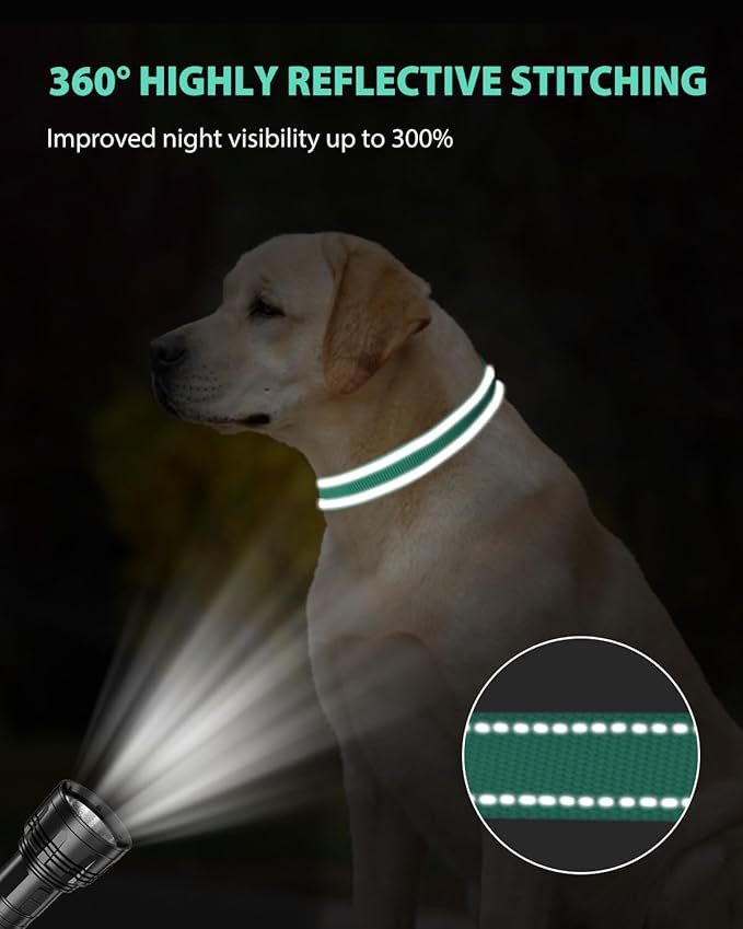 Joytale Large Dog Collar, Reflective and Adjustable Nylon Pet Collar with Quick-Release Buckle for Extra Large Dogs, Teal, XL
